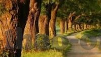北控足球今天比分-北控足球激战绿茵场，今日比分揭晓，激情与悬念并存