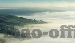 非洲杯足球比分-非洲杯足球比分，激情与荣耀的数字交响曲