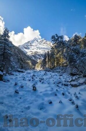老版足球比分直播-重温经典，老版足球比分直播的情怀与记忆