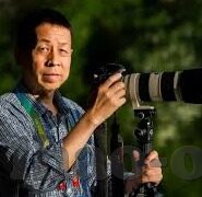足球比分实单-足球比分实单，从数据洞察到实战策略的深度解析