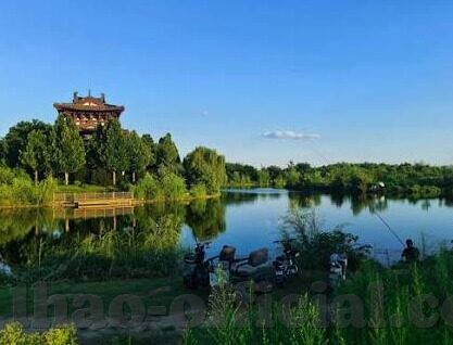 足球场比分牌-足球场比分牌，绿茵场上的无声英雄
